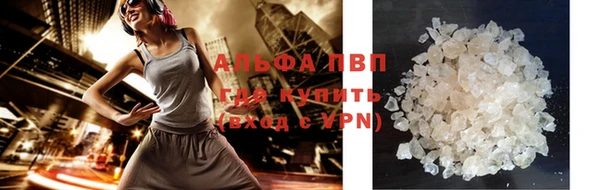 мет Ельня