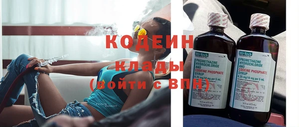 мет Ельня