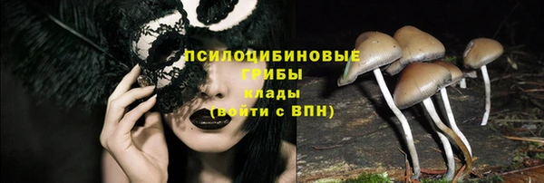 герыч Елизово