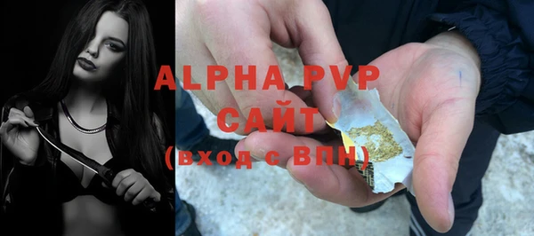 мет Ельня