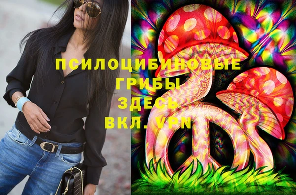 мет Ельня