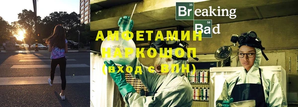 мет Ельня